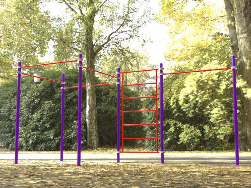 Комплекс для занятий Воркаут Pioner A16894