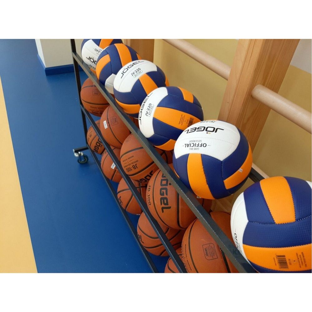 Тележка для мячей, передвижная 90х125х40см  TM-13