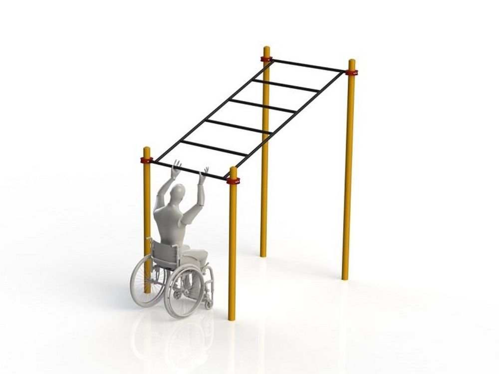 Рукоход в подъем параворкаут  Pioner A11837