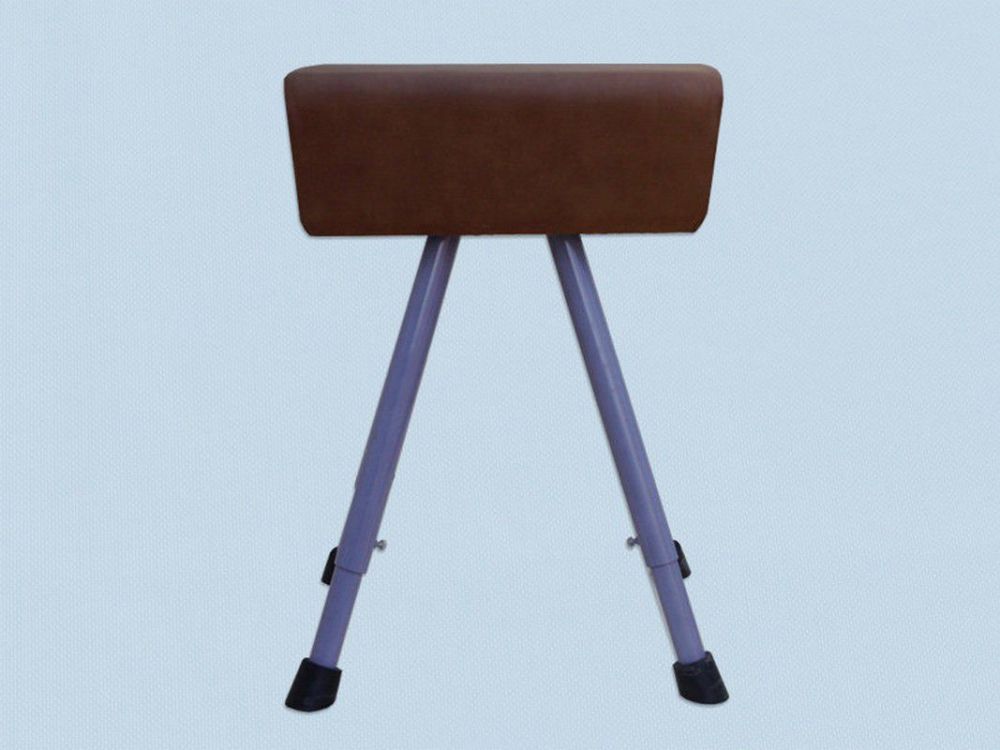 Козёл гимнастический эконом  Pioner A14728