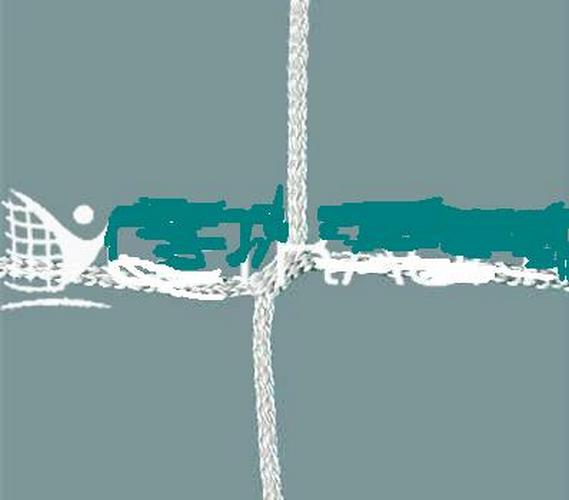 Сетка для футбольных ворот нить 5,0 мм, безузловая,10х10см, полипропилен Pioner A14940