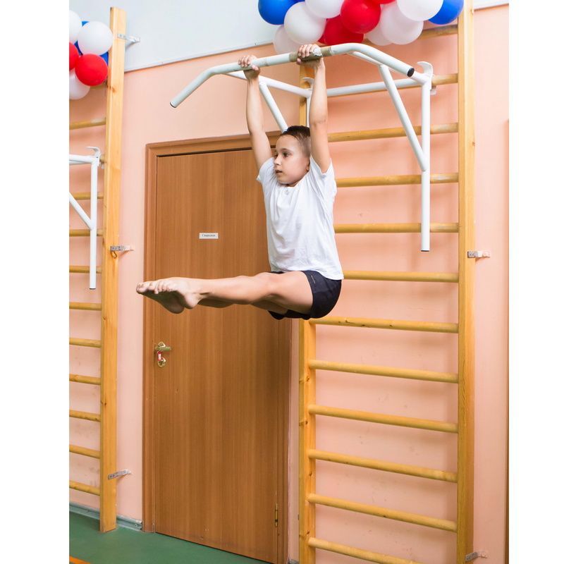 Брусья-турник навесные универсальные на шведскую стенку Pioner A12277